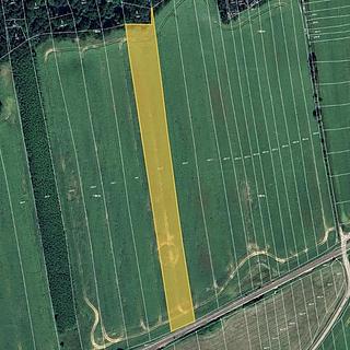 Prodej zemědělské půdy 11 829 m² Nová Ves