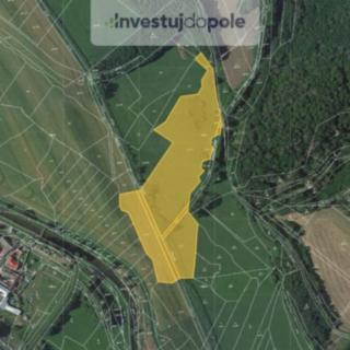 Prodej zemědělské půdy 16 744 m² Vranová Lhota