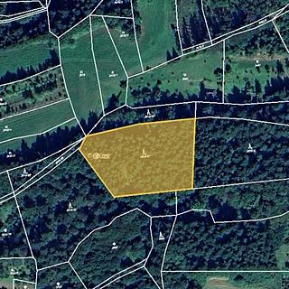 Prodej lesa 4 815 m² Hovězí