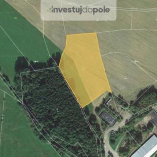 Prodej louky 9 721 m² Petrovice u Sušice Posobice