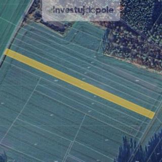 Prodej zemědělské půdy 2 877 m² Bítouchov Dalešice