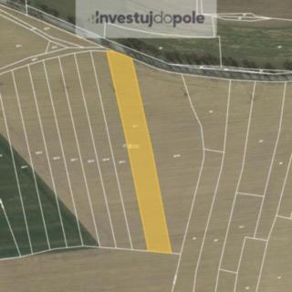 Prodej podílu zemědělské půdy 2918 m² Hořice
