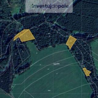 Prodej lesa 2 834 m² Prosíčka Dolní