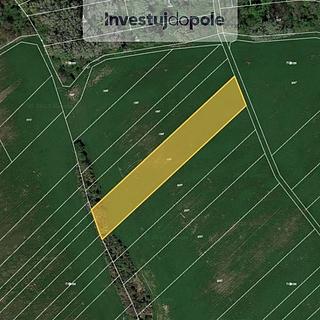 Prodej zemědělské půdy 4736 m² Velké Němčice