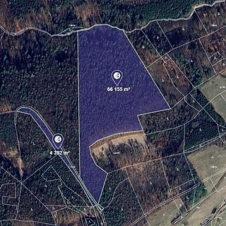 Prodej lesa 700 m&sup2; Luhačovice