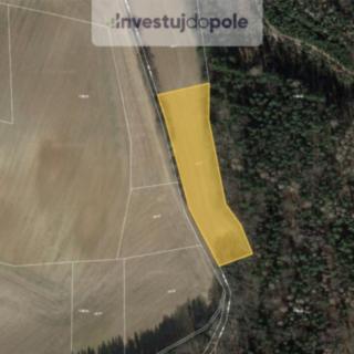 Prodej zemědělské půdy 2 388 m² Vinařice