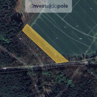Prodej zemědělské půdy 4402 m² Troskovice