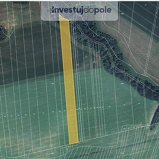 Prodej zemědělské půdy 4 567 m² Doubravice nad Svitavou