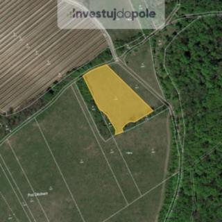 Prodej louky 5123 m² Horní Věstonice