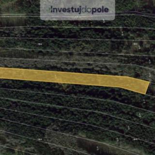 Prodej lesa 7 558 m² Lomy