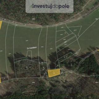 Prodej zemědělské půdy 6386 m² Vlašim