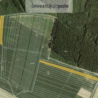 Prodej zemědělské půdy 1 304 m² Velké Opatovice Velká Roudka