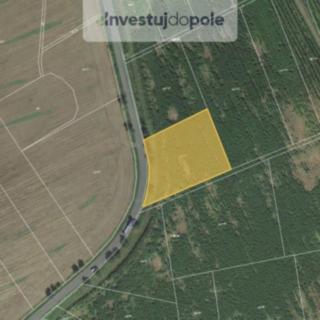 Prodej zemědělské půdy 4955 m² Oselce