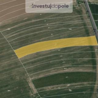 Prodej zemědělské půdy 7280 m² Říčany