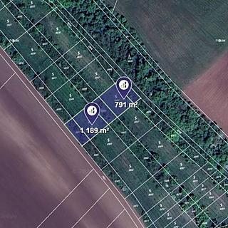 Prodej zemědělské půdy 1 980 m² Božice