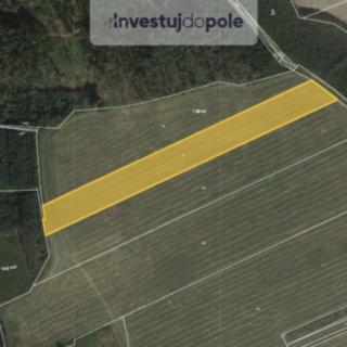 Prodej zemědělské půdy 15 952 m² Břasy Vranovice