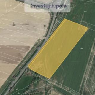 Prodej zemědělské půdy 1 746 m² Kostelec nad Černými lesy