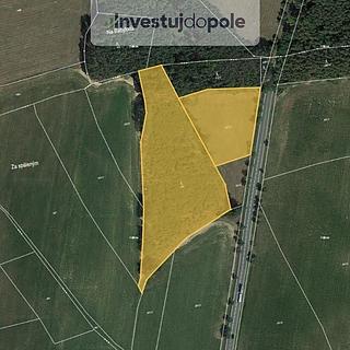 Prodej lesa 15 277 m² Luženičky Luženice