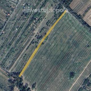 Prodej zemědělské půdy 1111 m² Strážnice