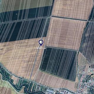 Prodej zemědělské půdy 2 423 m² Dolní Němčí