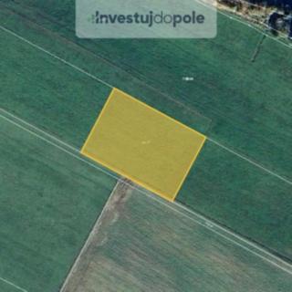 Prodej zemědělské půdy 5541 m² Nové Hrady