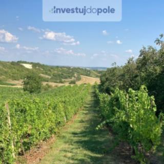 Prodej zemědělské půdy 1328 m² Starovičky