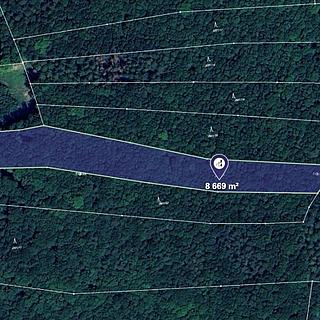 Prodej lesa 8 669 m² Jasenná