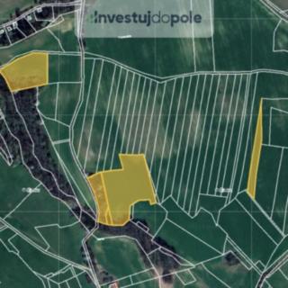Prodej zemědělské půdy 21 766 m² Podhořany u Ronova