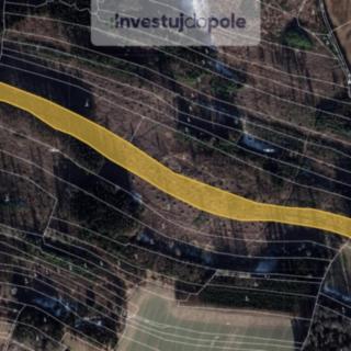 Prodej lesa 26 489 m² Častrov Ctiboř