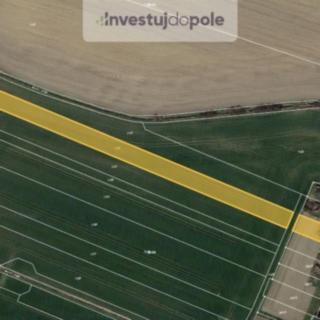 Prodej zemědělské půdy 589 m² Slepotice