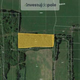 Prodej ostatních pozemků 3905 m² Vinařice