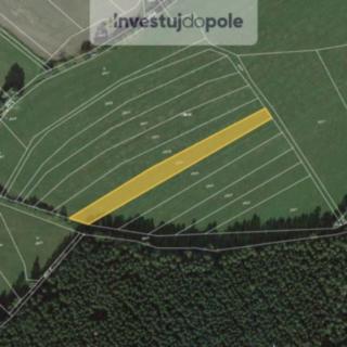 Prodej zemědělské půdy 1251 m² Dlažov