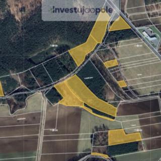 Prodej lesa 110 651 m² Oseček