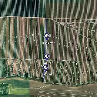 Prodej zemědělské půdy 9 015 m² Brumovice