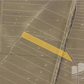 Prodej zemědělské půdy 3 836 m² Osvětimany