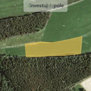 Prodej zemědělské půdy 10 903 m² Vítějeves