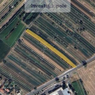 Prodej ostatního pozemku 2 149 m² Šardice