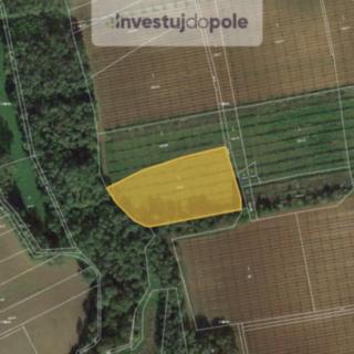Prodej ostatního pozemku 2 764 m² Lipno