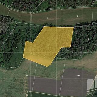 Prodej lesa 17 833 m² Kropáčova Vrutice Sušno