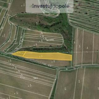 Prodej zemědělské půdy 747 m² Dolní Věstonice