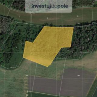 Prodej lesa 17 833 m² Kropáčova Vrutice Sušno