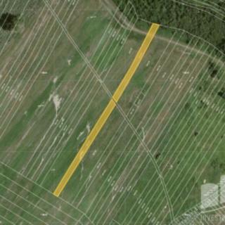 Prodej zemědělské půdy 1 713 m² Mikulčice