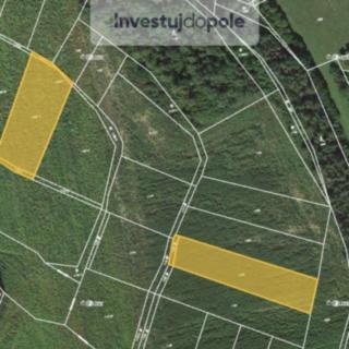 Prodej zemědělské půdy 6 473 m² Nekvasovy