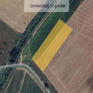 Prodej zemědělské půdy 15874 m² Milotice