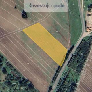 Prodej podílu zemědělské půdy 5641 m² Strání