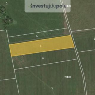 Prodej louky 622 m² Blíževedly Litice