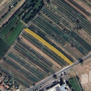 Prodej zemědělské půdy 2149 m² Šardice