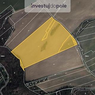 Prodej zemědělské půdy 35 683 m² Bojanovice Malá Lečice