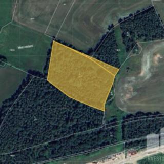 Prodej lesa 2 340 m² Písek Smrkovice