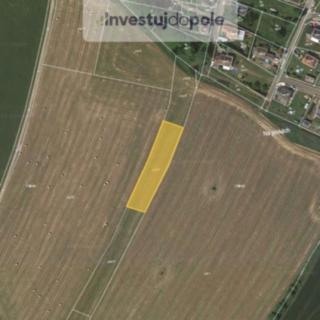 Prodej zemědělské půdy 1 637 m² Horní Police, Na Pískách